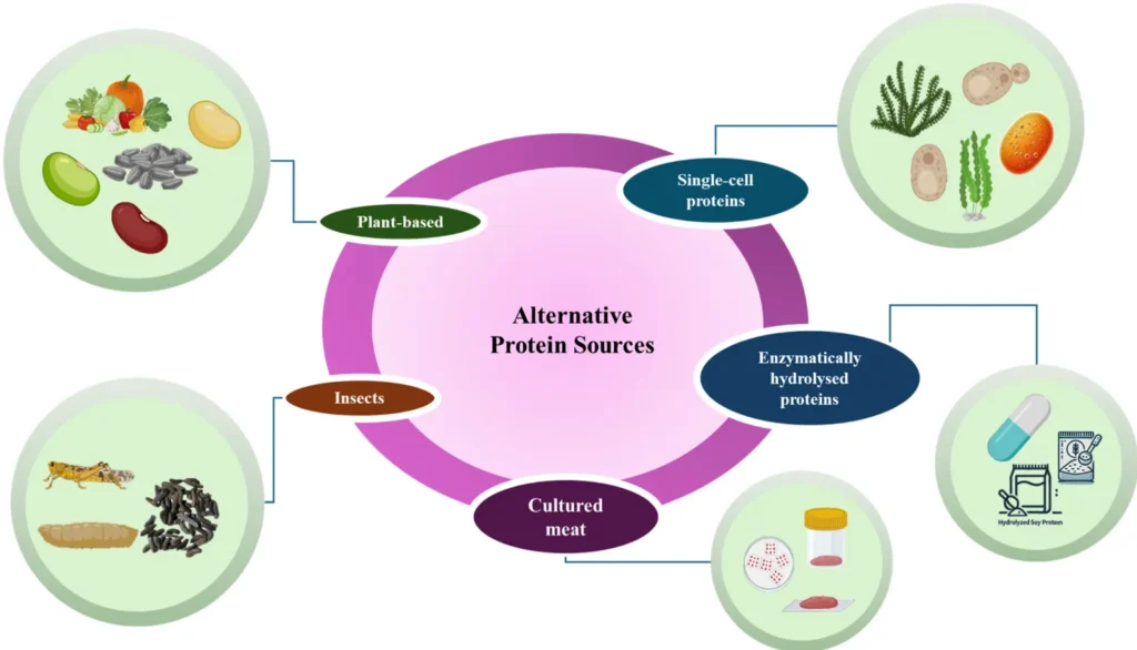 How Technology Is Helping Transform Alternative Protein Industry